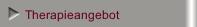 Therapieangebot